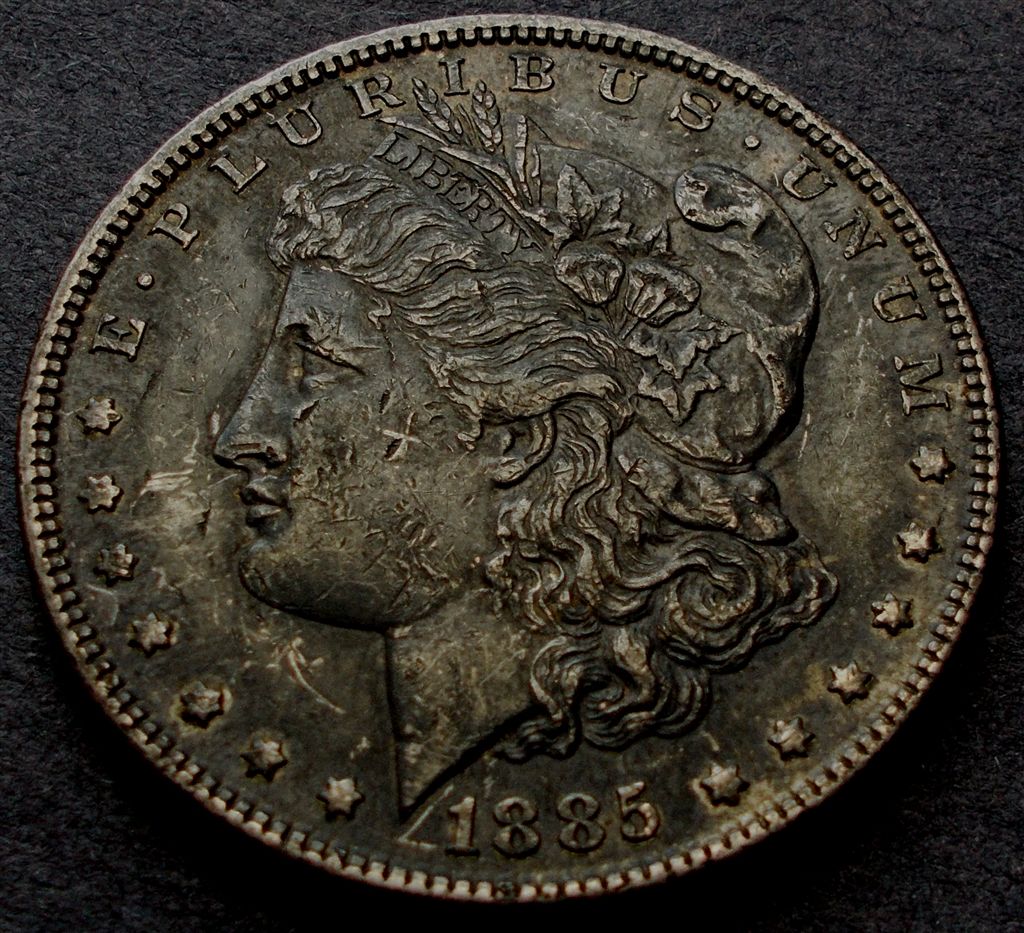 Cull-Bin-1885--Morgan